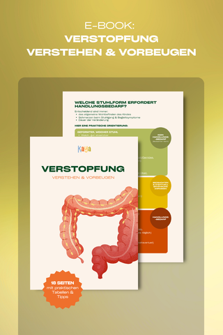 E-Book: Verstopfung - Verstehen & Vorbeugen