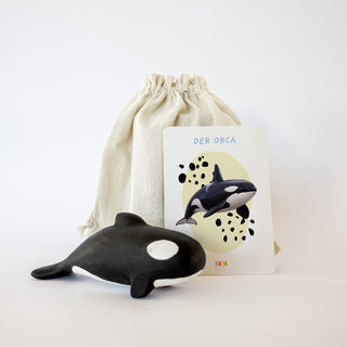 Orca